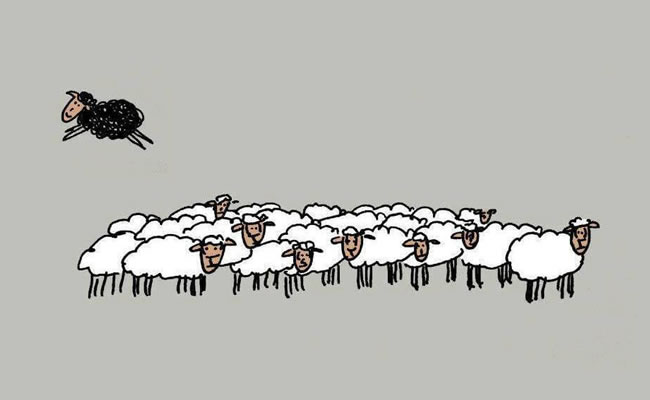 A ovelha negra não é má: só é&nbsp;diferente